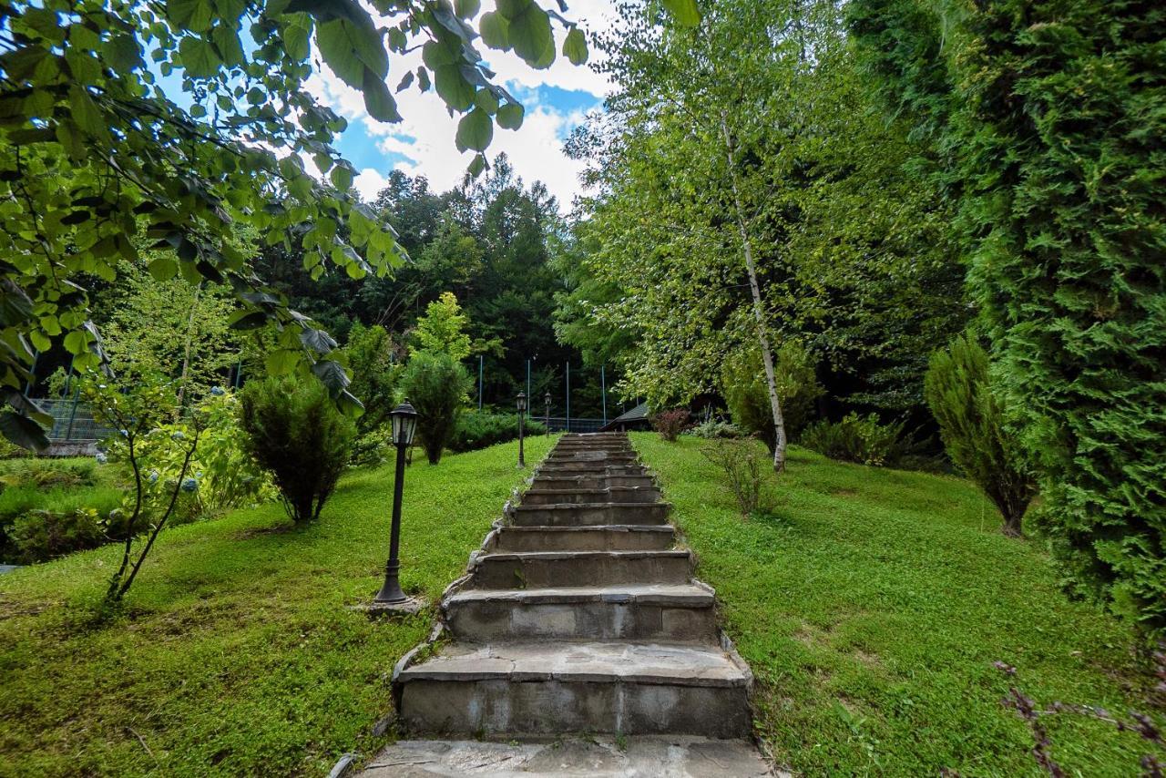 Hotel Tisa Băile Olăneşti Εξωτερικό φωτογραφία